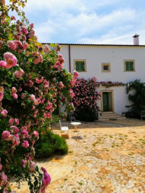 B&B Giovannarolla Green House